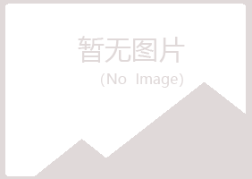 清河门区迎夏化学有限公司